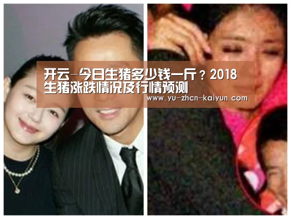 开云-今日生猪多少钱一斤？2018生猪涨跌情况及行情预测(图3)