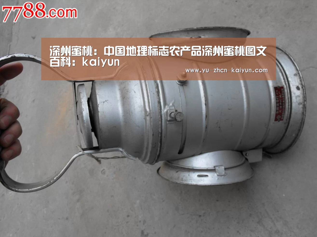 深州蜜桃：中国地理标志农产品深州蜜桃图文百科：kaiyun(图1)