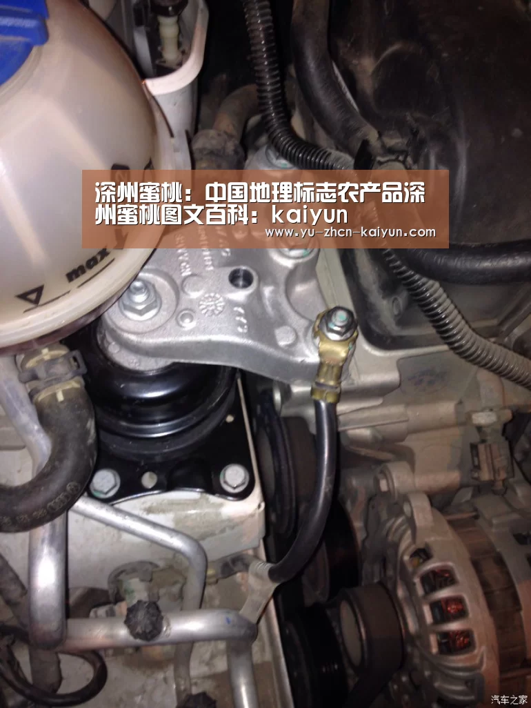 深州蜜桃：中国地理标志农产品深州蜜桃图文百科：kaiyun(图2)
