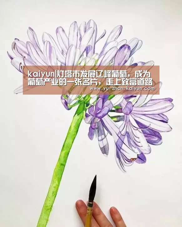 开云
