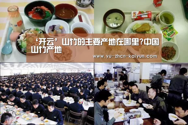 ‘开云’山竹的主要产地在哪里?中国山竹产地(图1)